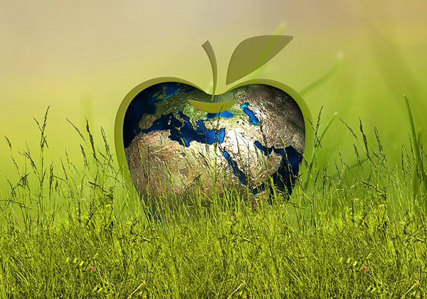 1599806600708391.jpg 1567409674986009.jpg